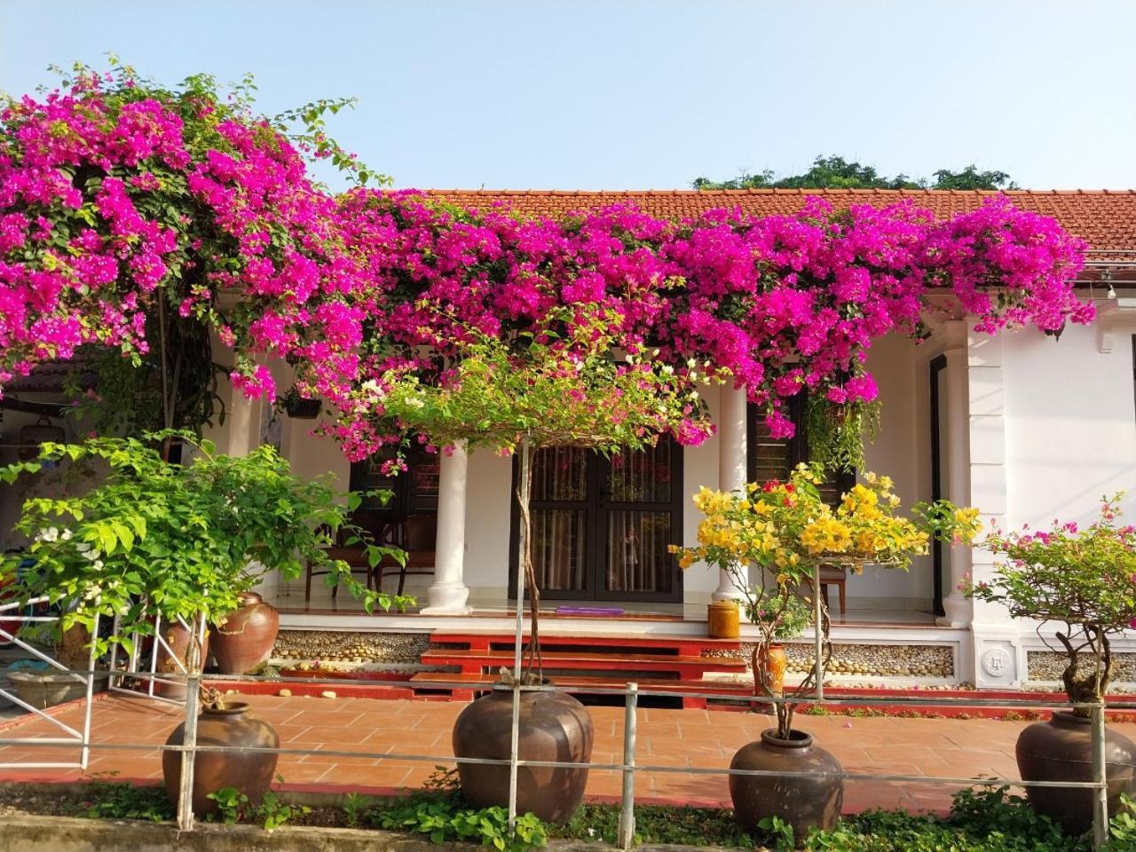Nha Xanh Homestay Ninh Binh Exterior photo